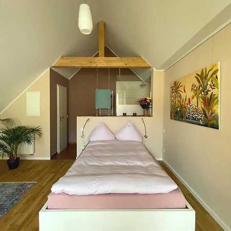 Huus Bellevue 3* Gleisweiler