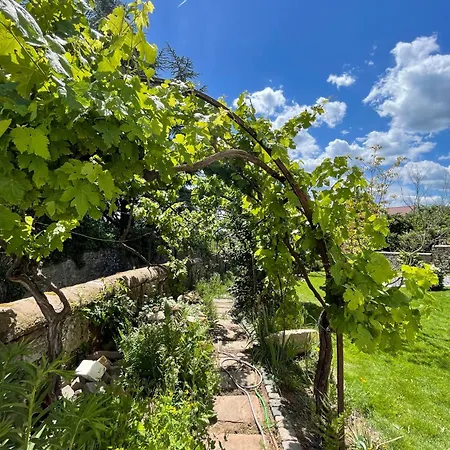 Huus Bellevue Gleisweiler