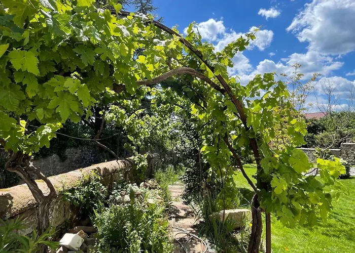 Huus Bellevue Gleisweiler